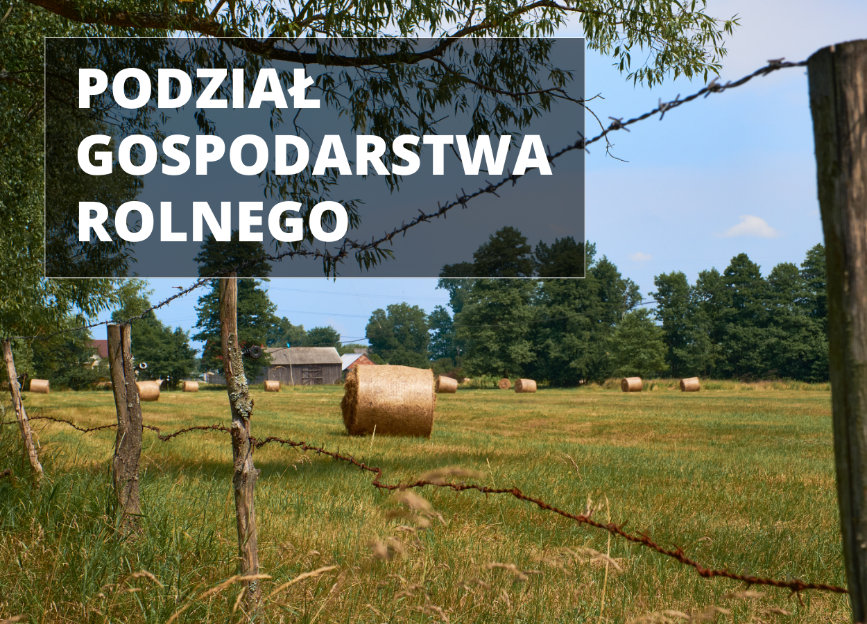 PODZIAŁ GOSPODARSTWA ROLNEGO – PRAWO GOSPODARCZE I NIERUCHOMOŚCI